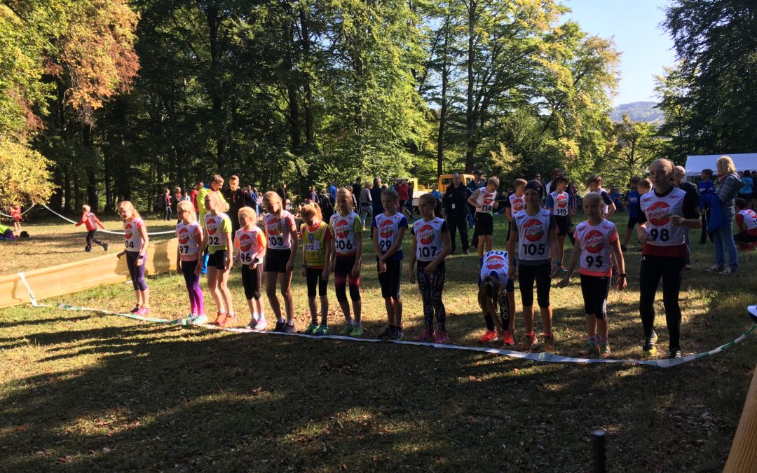 Wettkampfwochenende Langlauf: Crosslauf in Bad Liebenstein & Skiroller in Oberhof